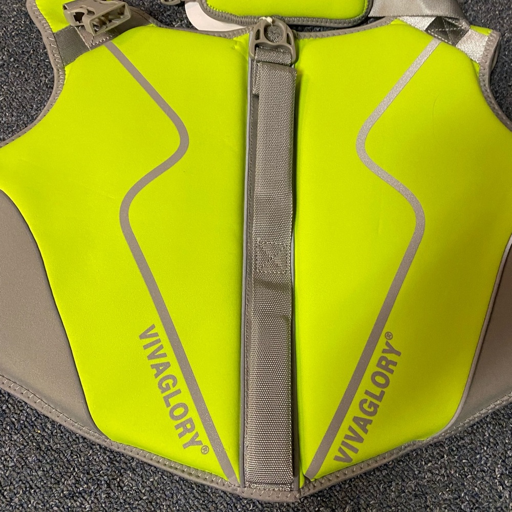 Dog swim vest